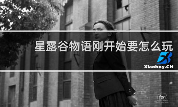 星露谷物语刚开始要怎么玩