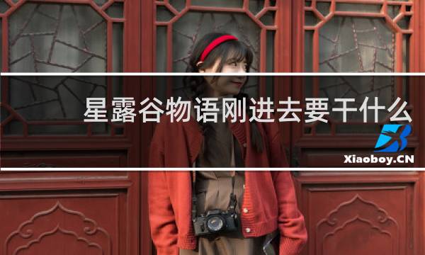 星露谷物语刚进去要干什么