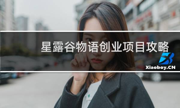 星露谷物语创业项目攻略