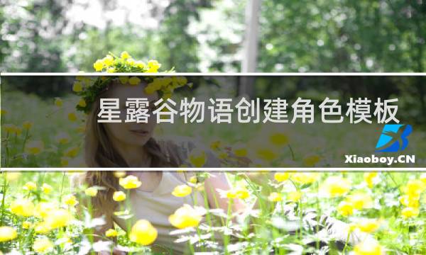 星露谷物语创建角色模板