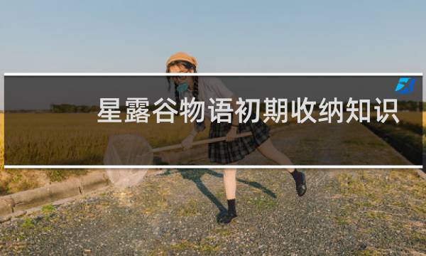 星露谷物语初期收纳知识