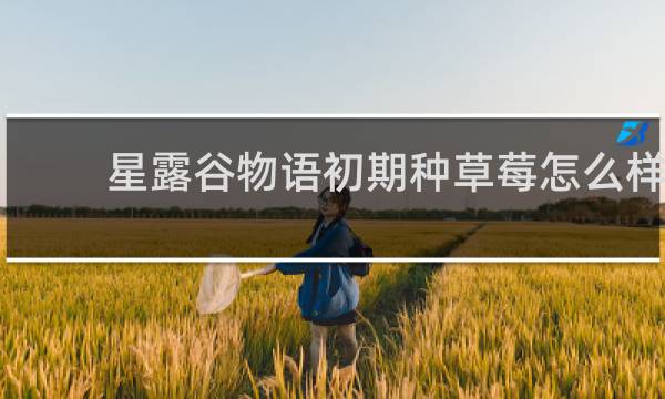 星露谷物语初期种草莓怎么样