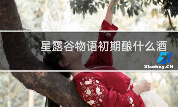 星露谷物语初期酿什么酒
