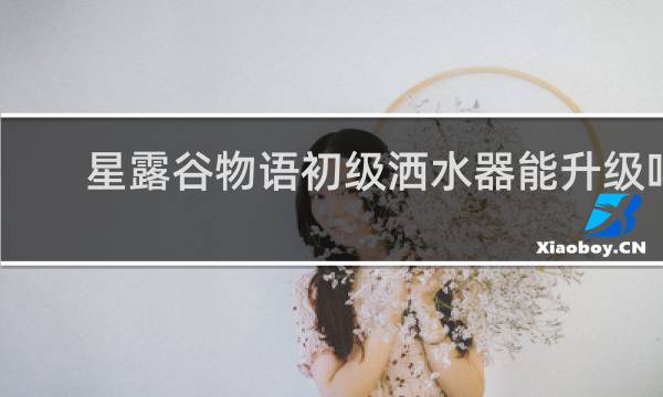 星露谷物语初级洒水器能升级吗
