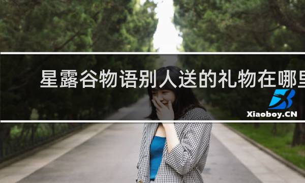 星露谷物语别人送的礼物在哪里