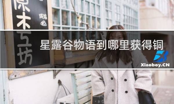 星露谷物语到哪里获得铜