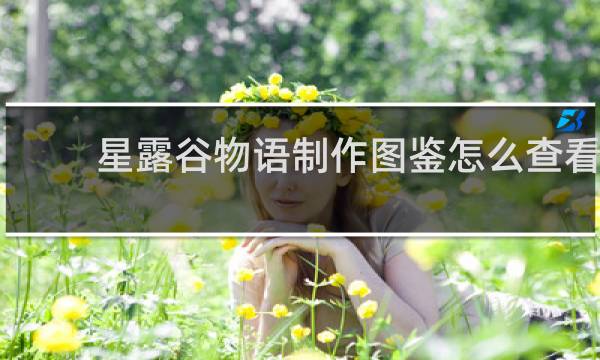 星露谷物语制作图鉴怎么查看