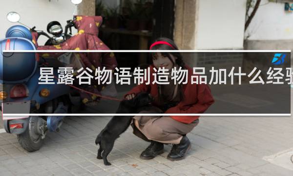 星露谷物语制造物品加什么经验