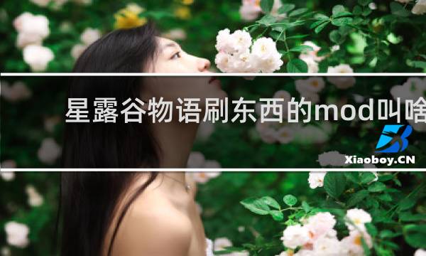 星露谷物语刷东西的mod叫啥