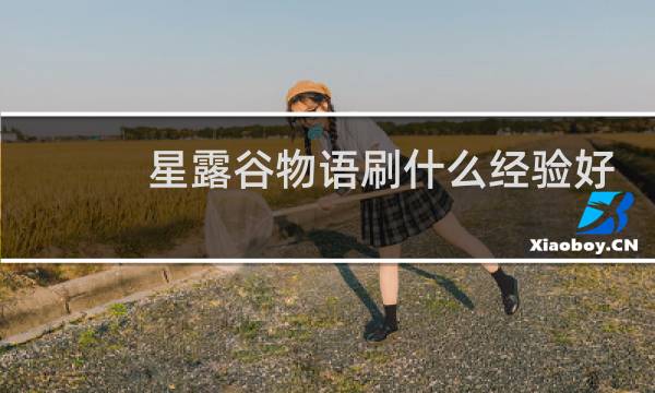 星露谷物语刷什么经验好