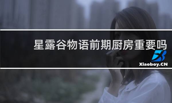 星露谷物语前期厨房重要吗