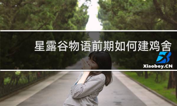 星露谷物语前期如何建鸡舍
