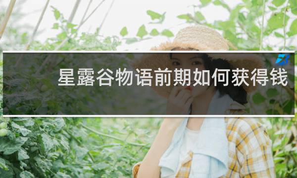 星露谷物语前期如何获得钱