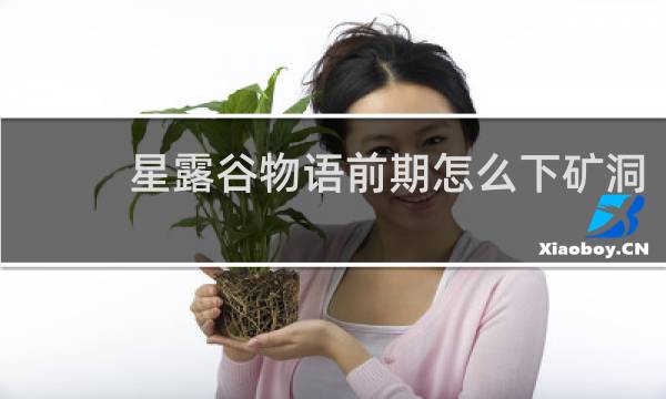 星露谷物语前期怎么下矿洞