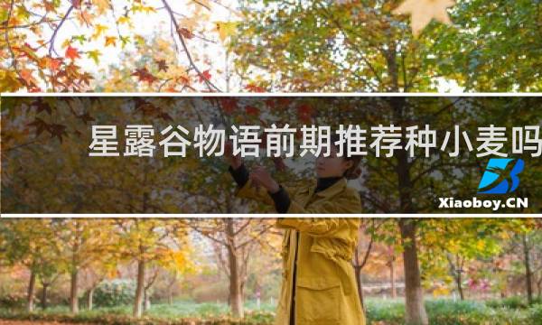 星露谷物语前期推荐种小麦吗