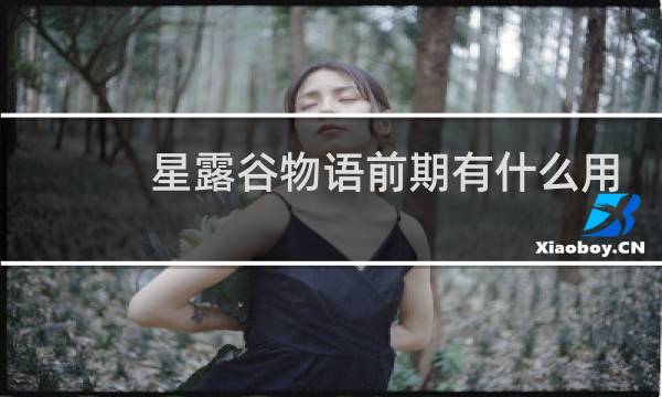 星露谷物语前期有什么用