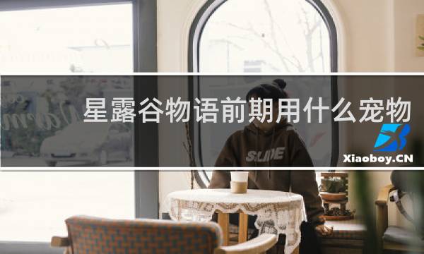 星露谷物语前期用什么宠物