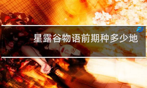 星露谷物语前期种多少地