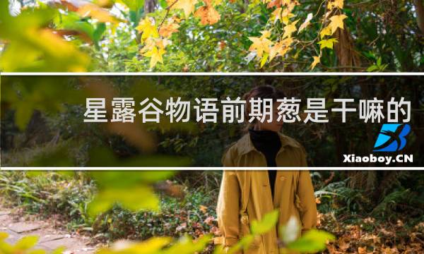 星露谷物语前期葱是干嘛的