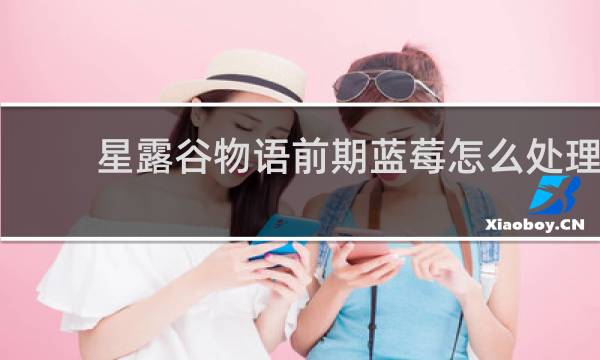 星露谷物语前期蓝莓怎么处理