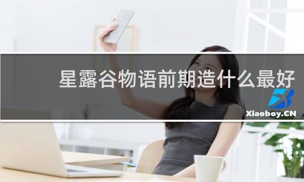 星露谷物语前期造什么最好