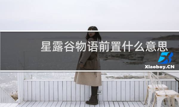 星露谷物语前置什么意思