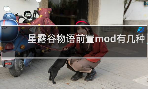 星露谷物语前置mod有几种