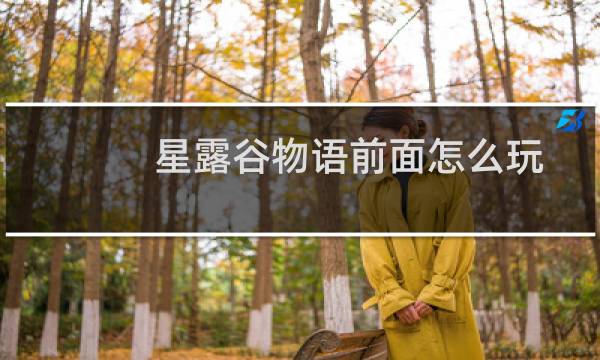 星露谷物语前面怎么玩