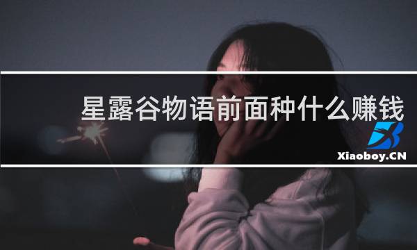 星露谷物语前面种什么赚钱