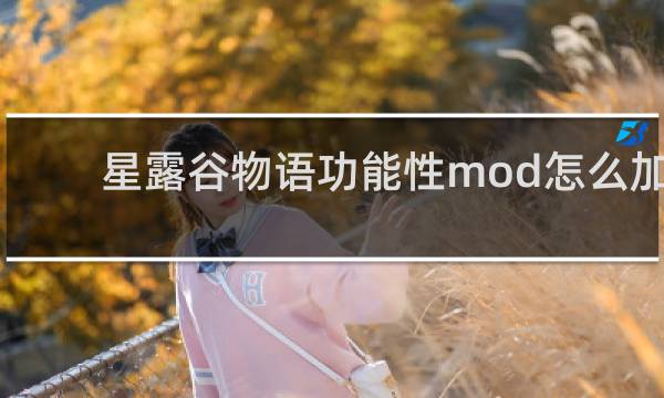 星露谷物语功能性mod怎么加