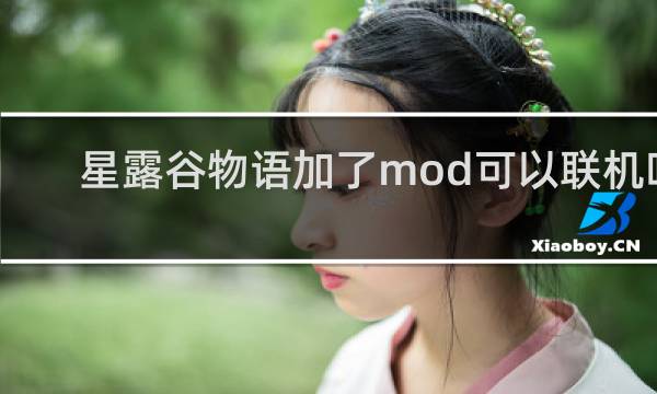 星露谷物语加了mod可以联机吗