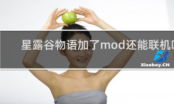 星露谷物语加了mod还能联机吗