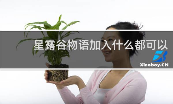 星露谷物语加入什么都可以