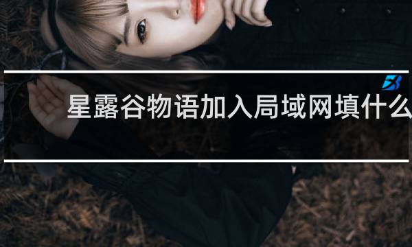 星露谷物语加入局域网填什么