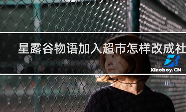 星露谷物语加入超市怎样改成社区