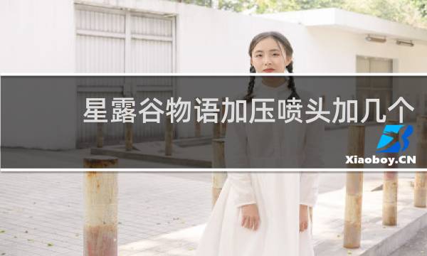 星露谷物语加压喷头加几个