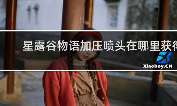 星露谷物语加压喷头在哪里获得