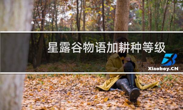 星露谷物语加耕种等级