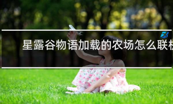 星露谷物语加载的农场怎么联机