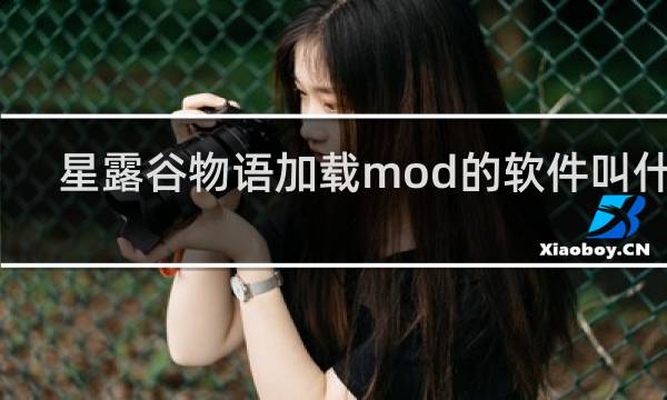 星露谷物语加载mod的软件叫什么