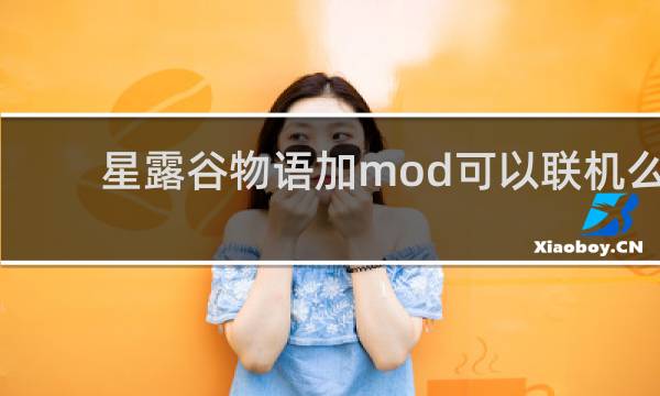 星露谷物语加mod可以联机么