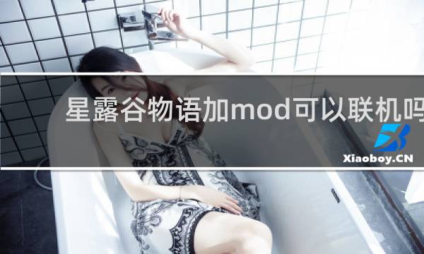星露谷物语加mod可以联机吗