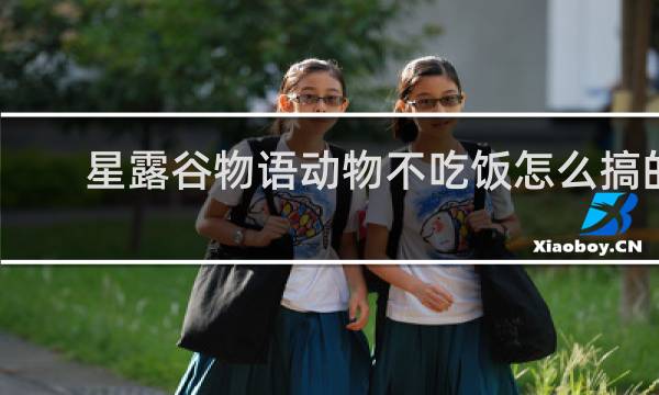 星露谷物语动物不吃饭怎么搞的