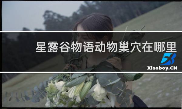 星露谷物语动物巢穴在哪里