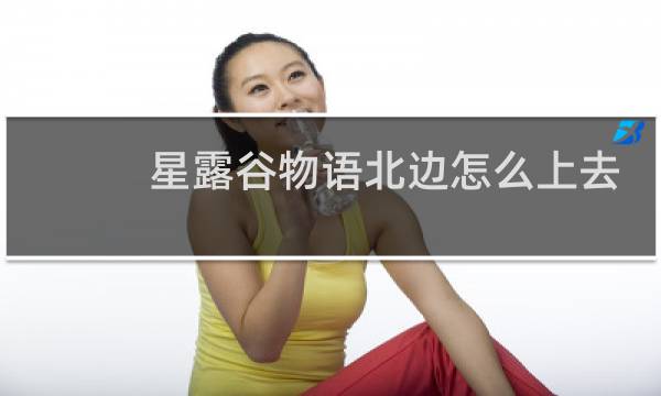 星露谷物语北边怎么上去