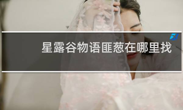 星露谷物语匪葱在哪里找