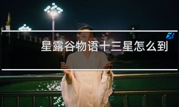 星露谷物语十三星怎么到