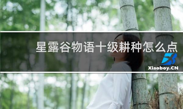 星露谷物语十级耕种怎么点