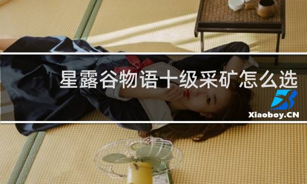 星露谷物语十级采矿怎么选