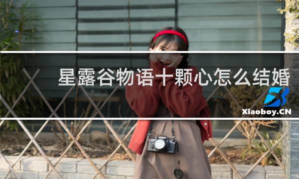 星露谷物语十颗心怎么结婚